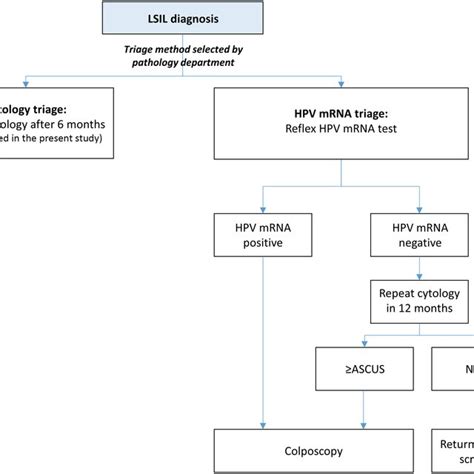 Danish screening guidelines for follow up of women with LSIL ...