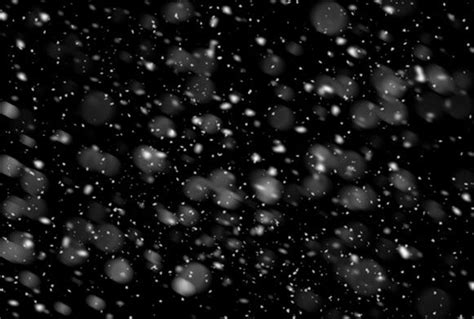 260 Free Snow Overlay for Photoshop – Download Now! | Snow overlay ...