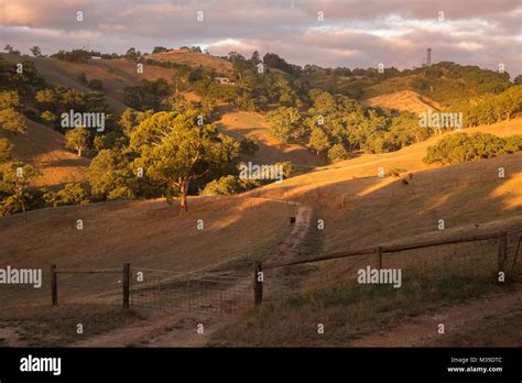 Adelaide Hills, SA Stock Photo - Alamy