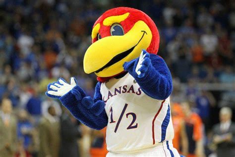 Mascot Monday: University of Kansas Jayhawks | Surviving College ...