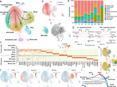 Single-nucleus RNA-seq uncovers the gene expression programs of primary ...