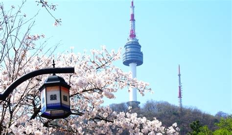 N Seoul Tower (Namsan Tower) Observatory Ticket in Korea - Trazy, Korea ...