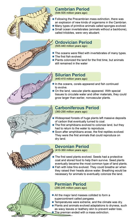 Life During the Paleozoic | CK-12 Foundation | Geologic time ...