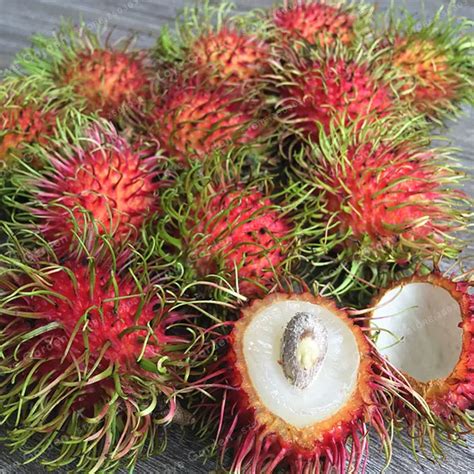 Rambutan Seeds 5 Pcs - Best Seeds Online | Free Shipping Worldwide ...