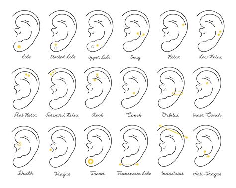 Some of the most popular types of ear piercings and their names - So Scene