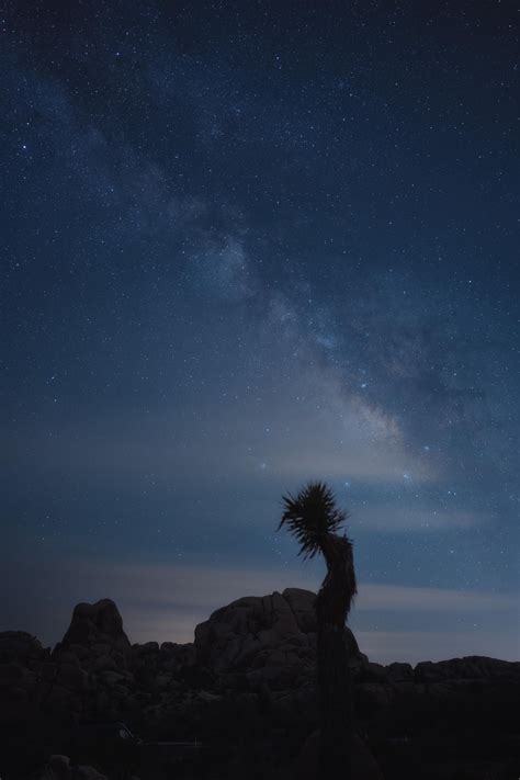 Night sky at Joshua Tree NP : r/NationalPark