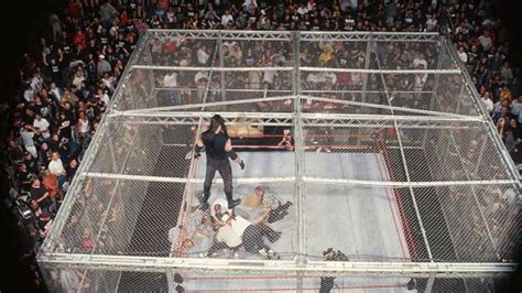 Page 2 - 5 WWE Superstars who have fallen from the Hell in a Cell cage