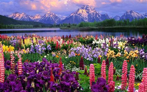 Flower Landscape wallpaper | 2880x1800 | #79534