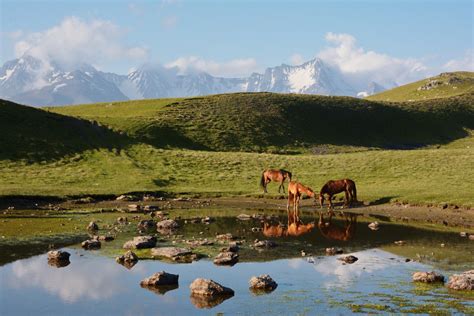 Why You Should Go Hiking in Georgia's Caucasus Mountains This Year ...