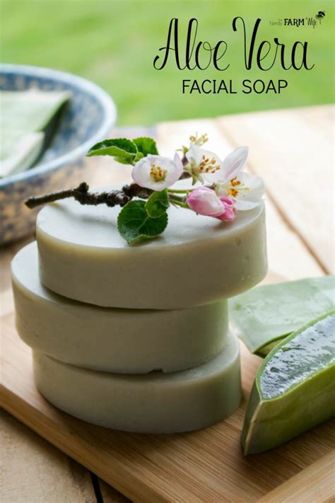 How to Make Fresh Aloe Vera Soap + Aloe Vera Facial Soap Recipe