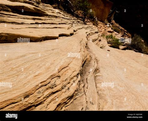 Lithification of sand dunes is the process turning unconsolidated sand ...