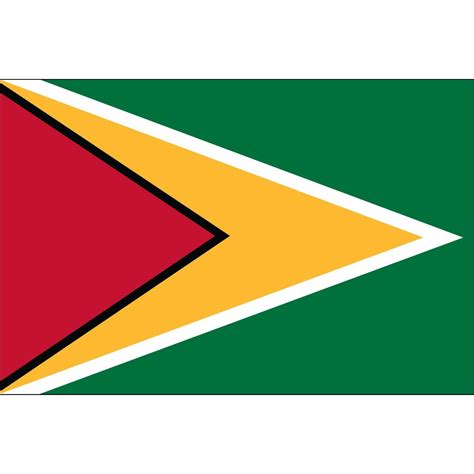 Guyana Flag 3 x 5 ft. Indoor Display Flag