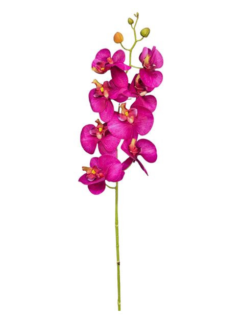 Orchid Spray 105cm. – Flourish_ph