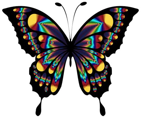 Colorful Butterfly Clip Art Image - ClipSafari