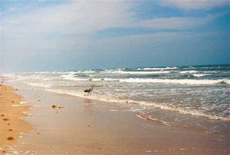 Mustang Island, Texas | Mustang island, Mustang island texas, State parks