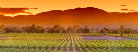 October 2023 Events in Napa Valley - Yountville