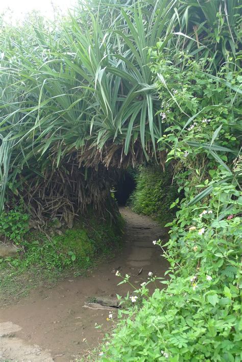 Indochina Travel News: Vinh Moc Tunnels, DMZ