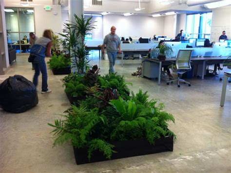 Office space, Plants, Environment