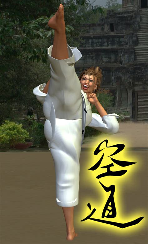 Karate kicks 7 by Soldier2000 on DeviantArt