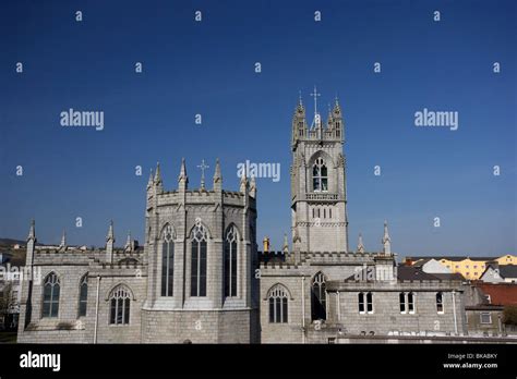 Newry Catholic cathedral of saint patrick and saint colman county down ...