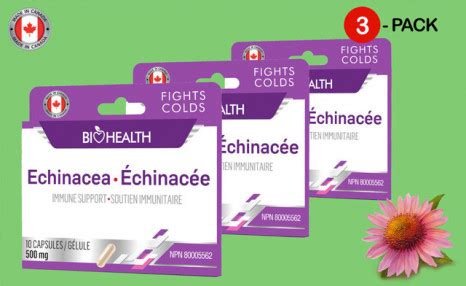 $17.90 for 30 Capsules of Echinacea - 500mg (a $29.80 Value)| WagJag