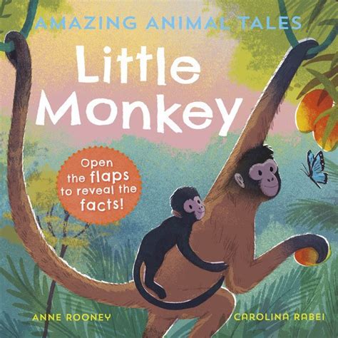 Amazing Animal Tales: Little Monkey by Anne Rooney | BookFusion