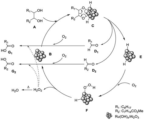 Proposed mechanism for the oxidative cleavage of vicinal diol by Ru(OH)... | Download Scientific ...