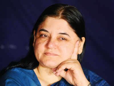 Maneka Gandhi rages at BJP worker who attacked animal activist, calls ...