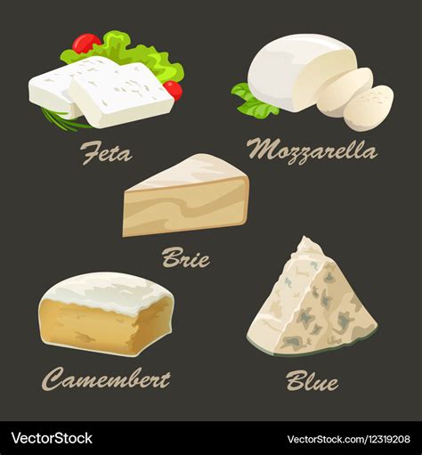 Set of different kinds white cheese realistic Vector Image