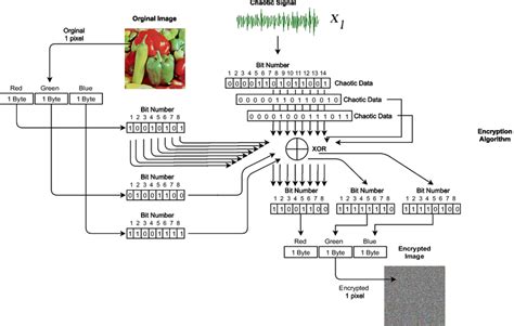 Working principle of the proposed encryption algorithm | Download ...