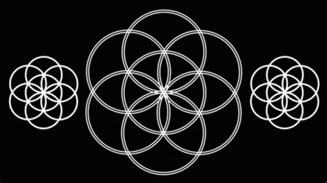 Flower Of Life Sacred Geometry GIF - Flower Of Life Sacred Geometry Iwadp - Descubrir y ...