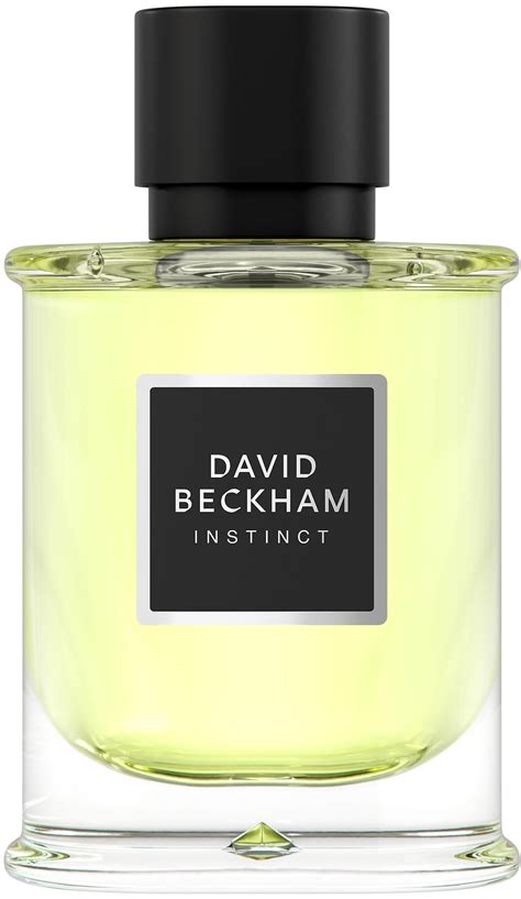 David Beckham Instinct Eau de Parfum 75 ml | lyko.com