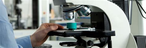 Upright Microscopes | Products | Leica Microsystems