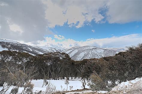 "Snow.. Australia.... Never ! - Victorian Alps National Park ,Victoria Australia" by Philip ...