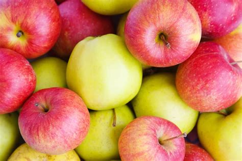 Green Vs Red Apples – What’s The Difference? - Foods Guy