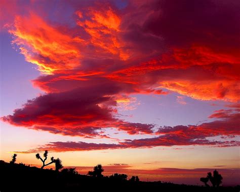 Autumn Orange Desert Sunset | Desert sunset, Sunset pictures, Sky photography