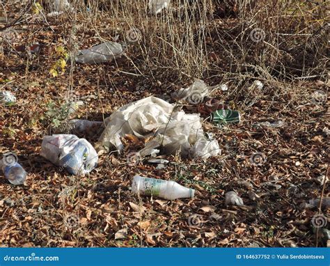 Plastic and Glass Bottles in the Landfill during Decomposition. the Concept of Environmental ...