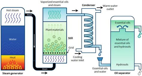 Terpenoids as Important Bioactive Constituents of Essential Oils ...