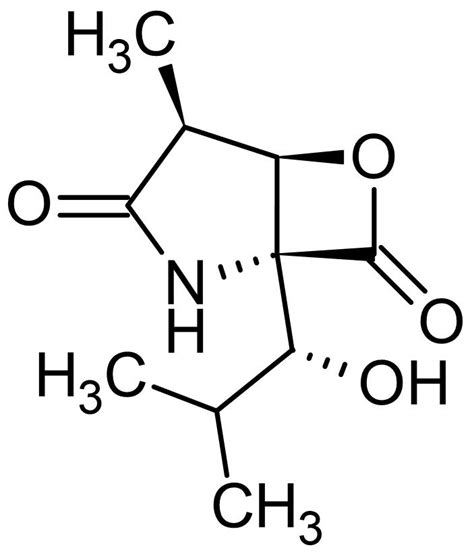 clasto-Lactacystin beta-lactone, 20S proteasome inhibitor (CAS 154226 ...