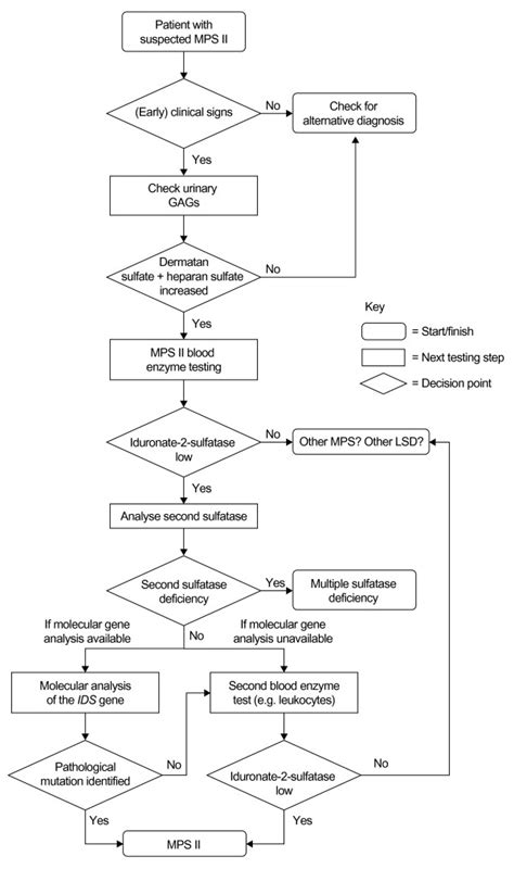 Diagnostic algorithm for mucopolysaccharidosis type II (MPS II). The ...