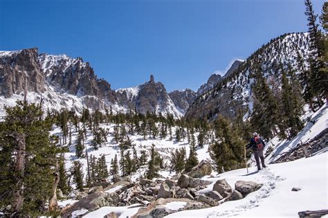 Great Basin National Park — The Greatest American Road Trip