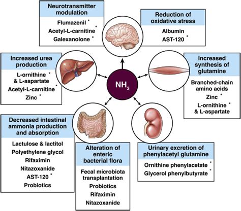 Hepatic Encephalopathy: Current and Emerging Treatment Modalities - Clinical Gastroenterology ...