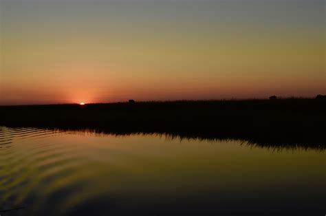 Chobe River Wildlife - Elephants Everywhere - The Maritime Explorer