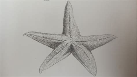 Drawing a Startfish| How to Draw Starfish Step by Step | Easy Ocean ...