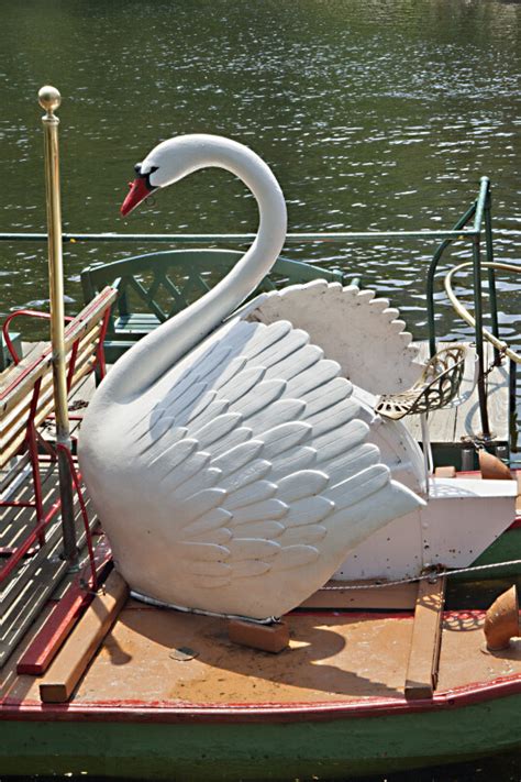 Swan Sculpture on a Swan Boat at the Boston Public Garden | ClipPix ETC: Educational Photos for ...