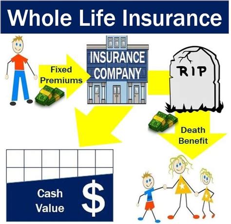 Whole life insurance - definition and meaning - Market Business News