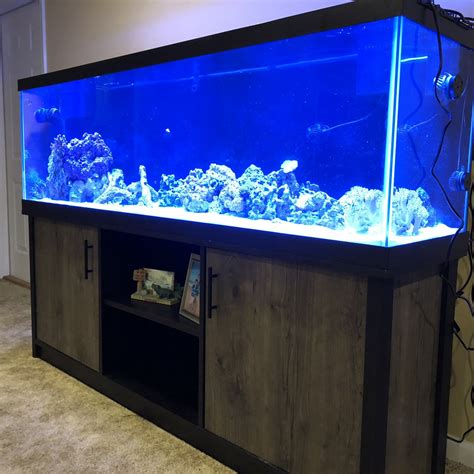 Build Thread - New 125 Aqueon Tank and Stand 524.99 | Reef2Reef