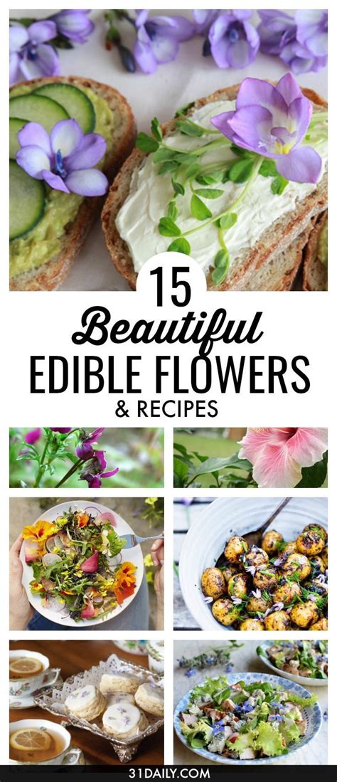 15 Beautiful Edible Flowers to Brighten Your Dishes | Edible flowers ...