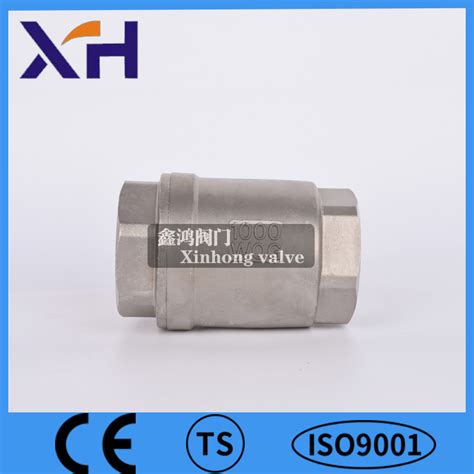 304 Stainless Steel Vertical Check Valve 1/2inch - China Industrial ...