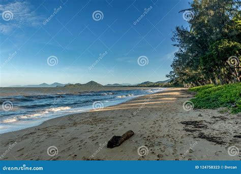 Palm Cove Beach in Cairns Queensland, Australia Stock Image - Image of ocean, seashore: 124758323